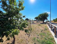 Villa à vendre à Scansano Scansano - Cantine Morellino