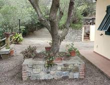 Casa indipendente in posizione panoramica e tranquilla con giardino pertinenziale e terreni adiacenti