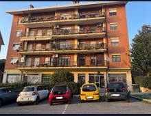 Box Albano Laziale