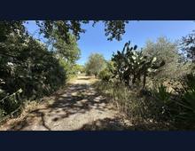Foto Cometa 2 — Terreno agricolo in vendita a Ariccia