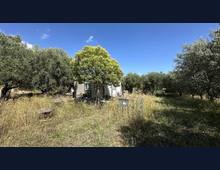 Foto Cometa 4 — Terreno agricolo in vendita a Ariccia