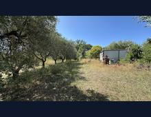 Foto Cometa 5 — Terreno agricolo in vendita a Ariccia