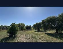 Foto Cometa 9 — Terreno agricolo in vendita a Ariccia