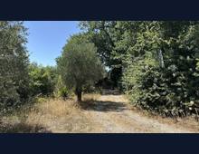 Foto Cometa 11 — Terreno agricolo in vendita a Ariccia