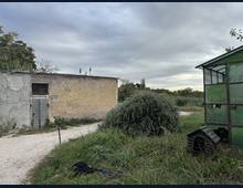 Foto Cometa 9 — Terreno agricolo in vendita a Albano Laziale