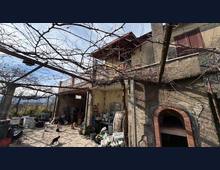 Foto Cometa 3 — Villa in vendita a Zagarolo