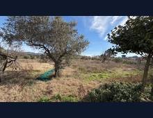 Foto Cometa 4 — Villa in vendita a Zagarolo