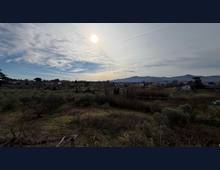 Foto Cometa 7 — Villa in vendita a Zagarolo