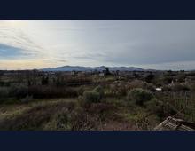 Foto Cometa 10 — Villa in vendita a Zagarolo