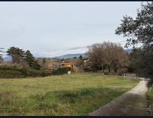 Foto Cometa 17 — Villa in vendita a Zagarolo