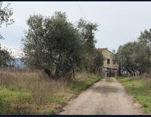 Foto Cometa 18 — Villa in vendita a Zagarolo