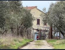 Foto Cometa 19 — Villa in vendita a Zagarolo