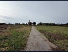 Foto Cometa 21 — Villa in vendita a Zagarolo