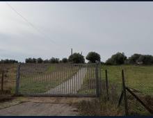 Foto Cometa 24 — Villa in vendita a Zagarolo