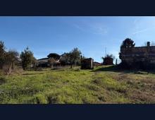 Foto Cometa 8 — Casa indipendente in vendita a San Cesareo