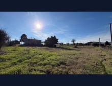 Foto Cometa 12 — Casa indipendente in vendita a San Cesareo