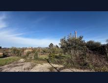 Foto Cometa 16 — Casa indipendente in vendita a San Cesareo
