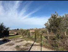 Foto Cometa 19 — Casa indipendente in vendita a San Cesareo