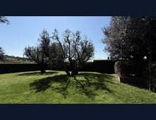 Foto Cometa 37 — Villa bifamiliare in vendita a Albano Laziale