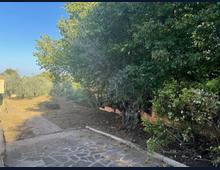 Foto Cometa 17 — Villa bifamiliare in vendita a Monte Porzio Catone