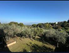 Foto Cometa 21 — Villa bifamiliare in vendita a Monte Porzio Catone