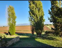 Foto Cometa 6 — Rustico / casale in vendita a Velletri