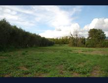 Terreno Agricolo Lanuvio