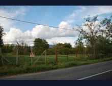 Foto Cometa 6 — Terreno agricolo in vendita a Lanuvio