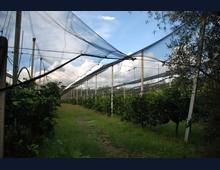 Foto Cometa 7 — Terreno agricolo in vendita a Lanuvio
