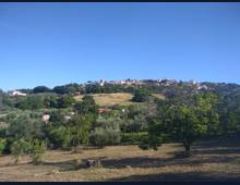 Foto Cometa 1 — Terreno agricolo in vendita a Lanuvio