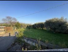 Foto Cometa 3 — Casa indipendente in vendita a Velletri