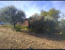 Foto Cometa 3 — Terreno agricolo in vendita a Lanuvio