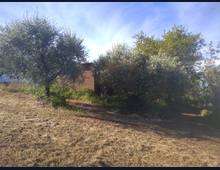 Foto Cometa 7 — Terreno agricolo in vendita a Lanuvio