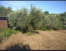 Foto Cometa 11 — Terreno agricolo in vendita a Lanuvio