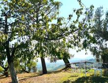 Villa in vendita a Montelibretti Colle Pizzuto