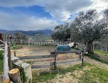 Villa in vendita a Montelibretti Colle Pizzuto