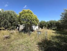 Foto Cometa 4 — Terreno agricolo in vendita a Ariccia