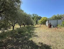 Foto Cometa 5 — Terreno agricolo in vendita a Ariccia