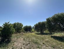 Foto Cometa 9 — Terreno agricolo in vendita a Ariccia