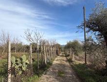 Foto Cometa 6 — Villa in vendita a Zagarolo