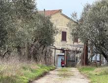 Foto Cometa 19 — Villa in vendita a Zagarolo