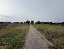 Foto Cometa 21 — Villa in vendita a Zagarolo