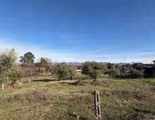 Foto Cometa 15 — Casa indipendente in vendita a San Cesareo