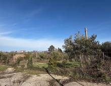 Foto Cometa 16 — Casa indipendente in vendita a San Cesareo