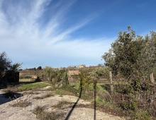 Foto Cometa 19 — Casa indipendente in vendita a San Cesareo