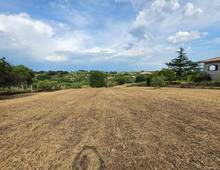 Foto Cometa 2 — Terreno agricolo in vendita a Lanuvio