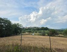 Foto Cometa 3 — Terreno agricolo in vendita a Lanuvio