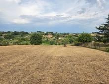 Foto Cometa 4 — Terreno agricolo in vendita a Lanuvio