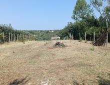 Foto Cometa 2 — Terreno agricolo in vendita a Lanuvio
