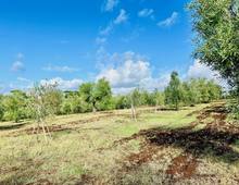 Foto Cometa 26 — Villa in vendita a Lanuvio